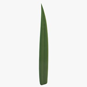 grass blade