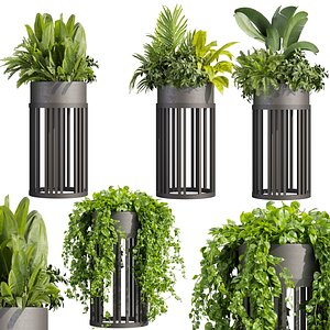 Collection plant vol 525 - circle - palm - office - pothos 3D model