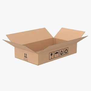 Cardboard Box 50x30x10 Half Open