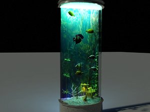 3d model aquarium tropical fish