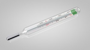 3d model thermometer classic