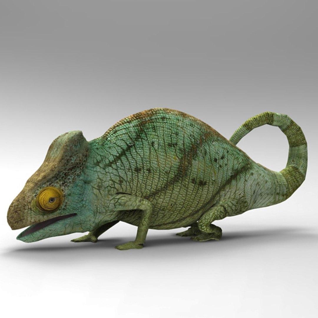 chameleon character poser 3d pz3