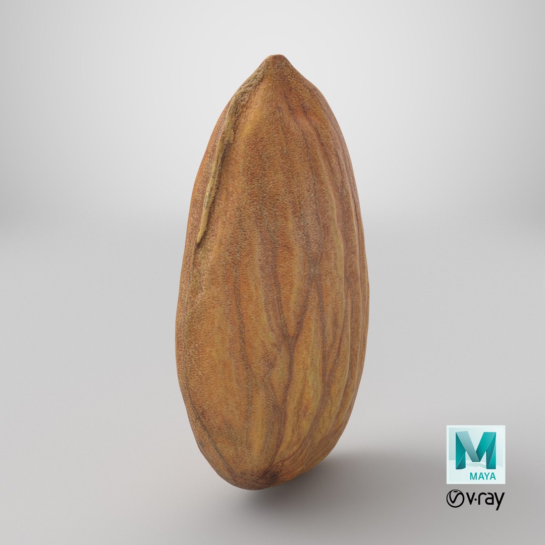 3D Almond Nut 02 https://p.turbosquid.com/ts-thumb/cK/B83uSs/5W/stemcell_maya_vray_render/png/1761054956/1920x1080/fit_q87/27f9d1afde6993ee9851730989c4089823a0c669/stemcell_maya_vray_render.jpg