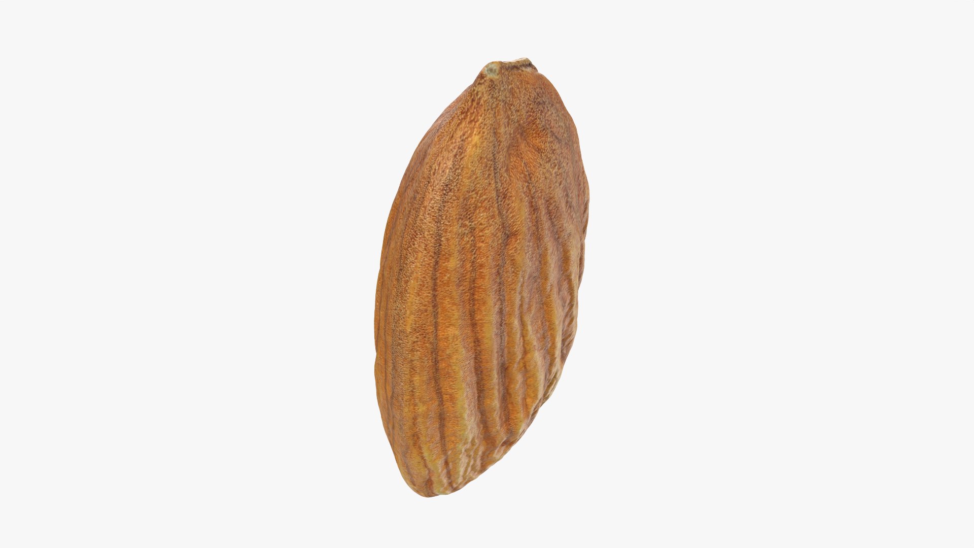 3D Almond Nut 02 https://p.turbosquid.com/ts-thumb/cK/B83uSs/An/almond02_0009/png/1759494435/1920x1080/fit_q87/af7792213d6c0695c7e288be3ab558a50e7e3044/almond02_0009.jpg