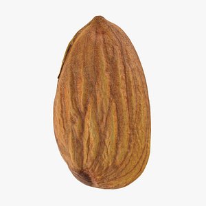 Almond Nut 02