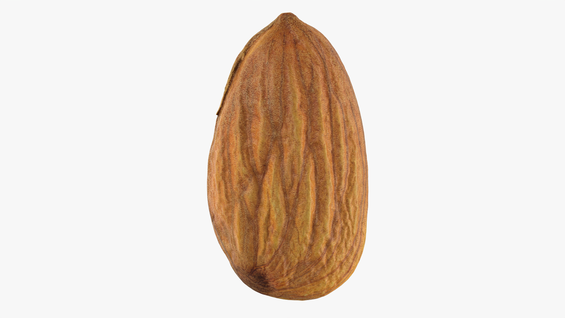 3D Almond Nut 02 https://p.turbosquid.com/ts-thumb/cK/B83uSs/Fj/almond02/png/1759511116/1920x1080/turn_fit_q99/b2be1aaa552fe451aec9f60723dbde49f556681a/almond02-1.jpg