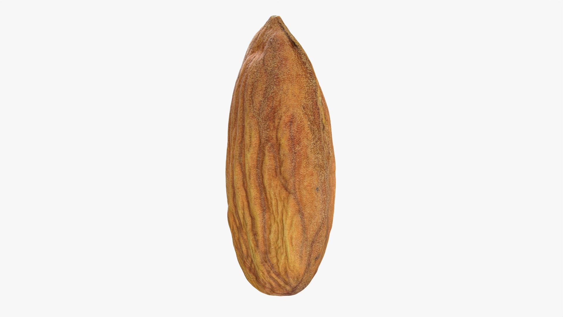 3D Almond Nut 02 https://p.turbosquid.com/ts-thumb/cK/B83uSs/Nw/almond02_0011/png/1759494439/1920x1080/fit_q87/cf099188146ae6d04ab2fcd15d058dc5ea78ad37/almond02_0011.jpg