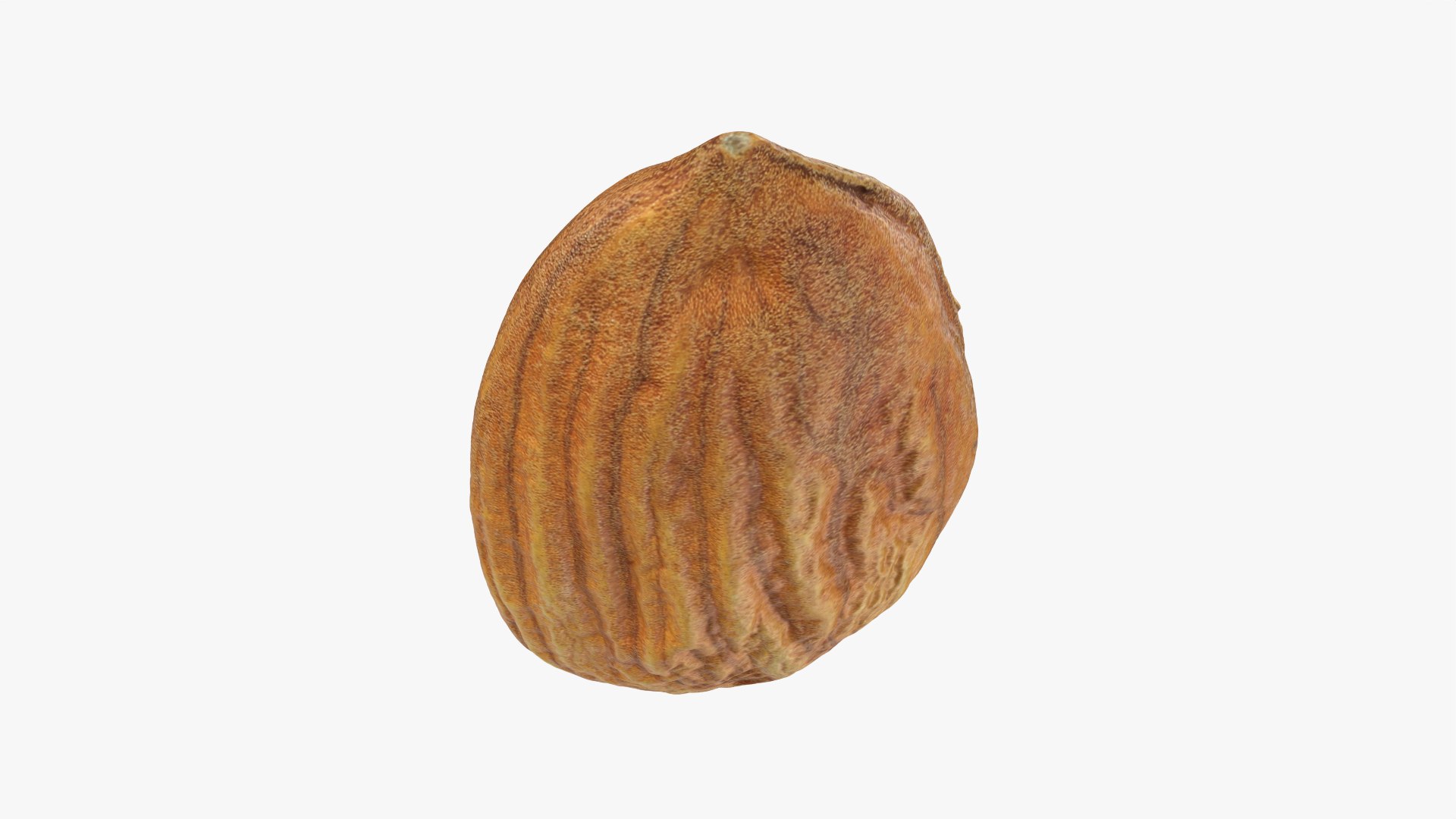 3D Almond Nut 02 https://p.turbosquid.com/ts-thumb/cK/B83uSs/P5/almond02_0007/png/1759494433/1920x1080/fit_q87/f922b67887ed5ca840c2e0a501234481d46c7c69/almond02_0007.jpg