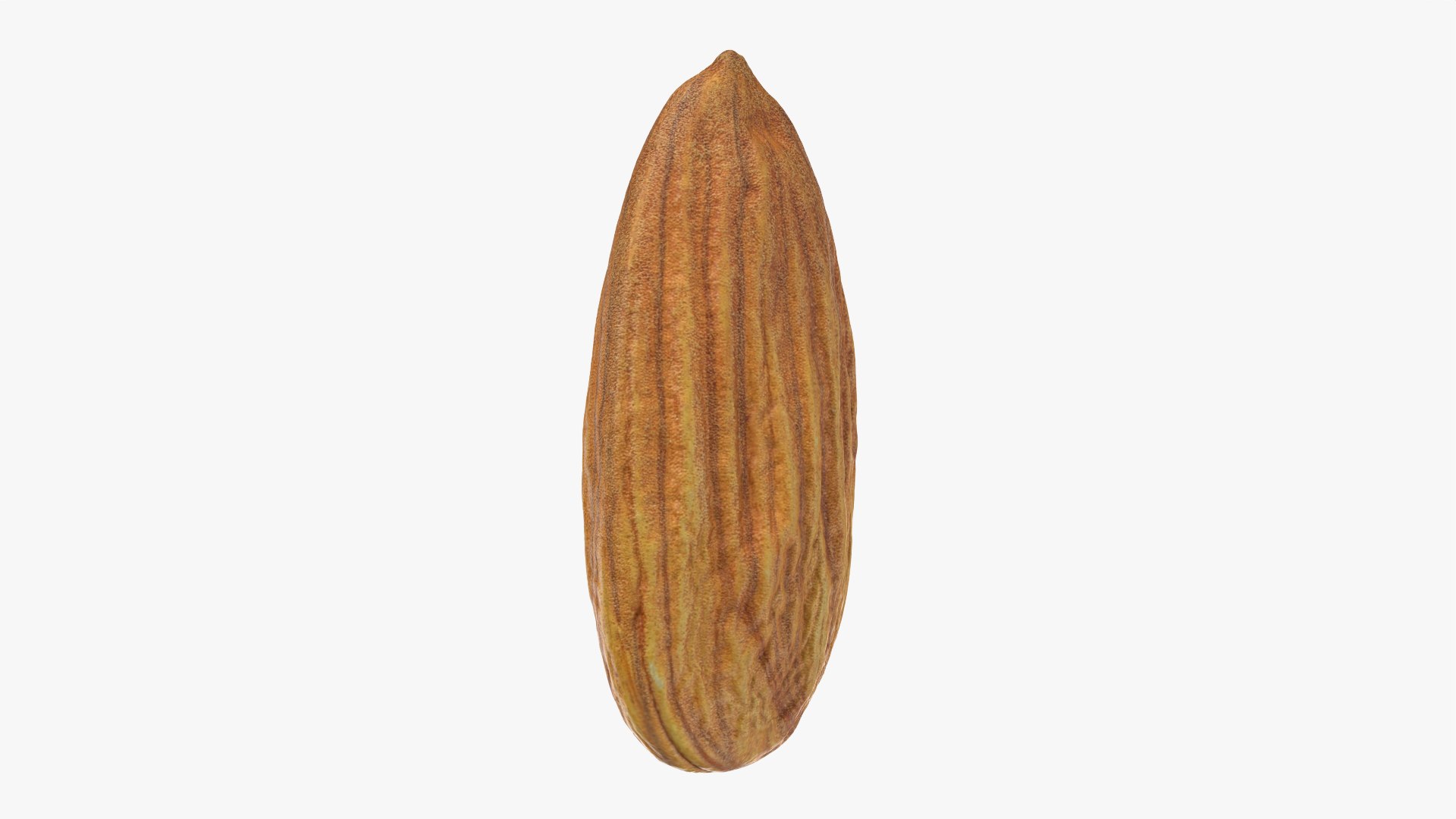 3D Almond Nut 02 https://p.turbosquid.com/ts-thumb/cK/B83uSs/QV/almond02_0010/png/1759494439/1920x1080/fit_q87/524b3a24d99d4413df8318f7b2053a1f9cfc849c/almond02_0010.jpg