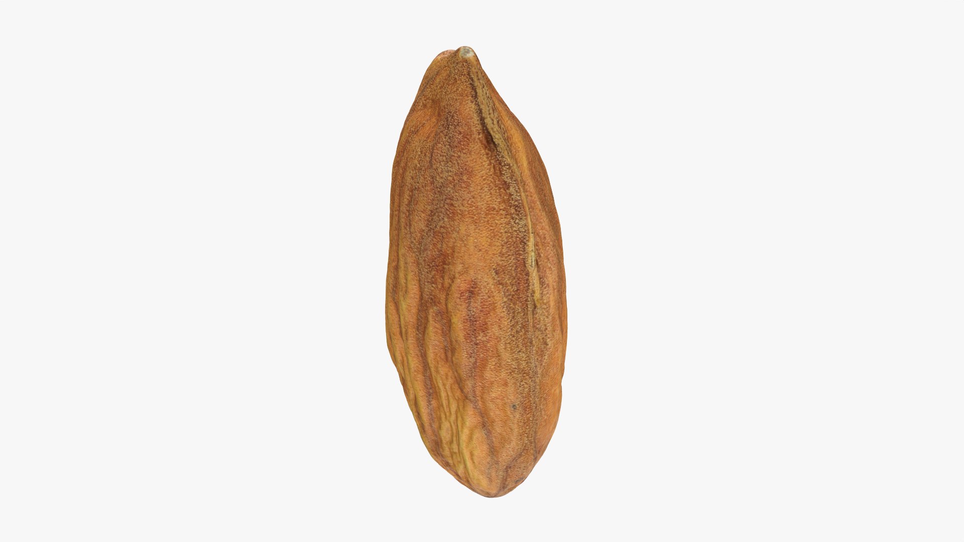 3D Almond Nut 02 https://p.turbosquid.com/ts-thumb/cK/B83uSs/bk/almond02_0003/png/1759494428/1920x1080/fit_q87/c09fb936b64ab29b29c5d6f82e8f7d23a933bde3/almond02_0003.jpg
