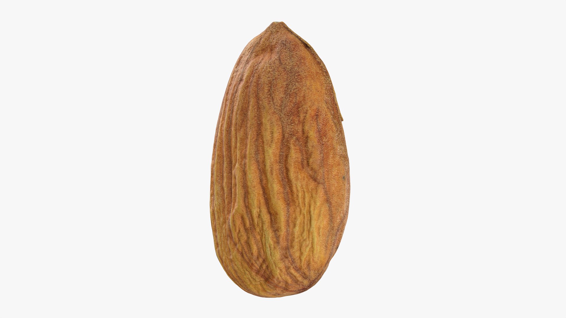 Almond Collection 3D model https://p.turbosquid.com/ts-thumb/cK/B83uSs/fI/almond02_0001/png/1787962038/1920x1080/fit_q87/e8cd1c5884d5ff957edcf24e6f6b34ed09f35688/almond02_0001.jpg