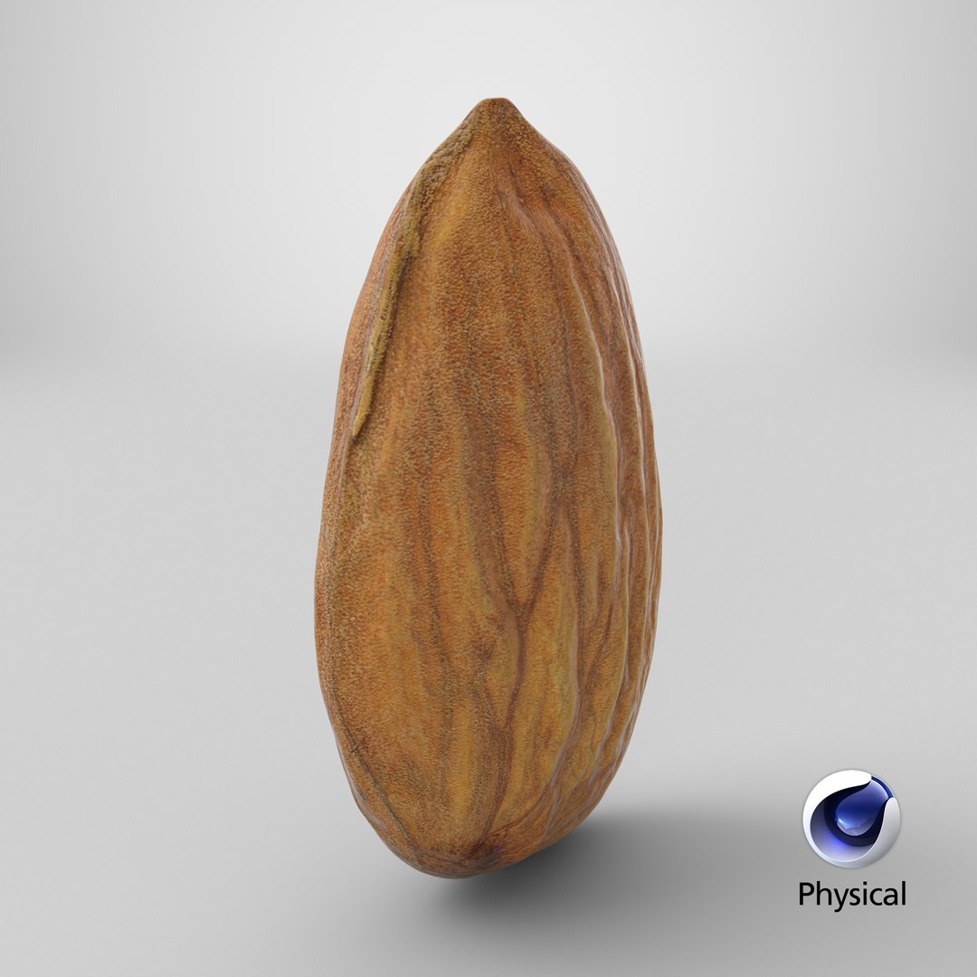 3D Almond Nut 02 https://p.turbosquid.com/ts-thumb/cK/B83uSs/lV/stemcell_cinema_4d_physical_render/png/1761054959/1920x1080/fit_q87/8df57931c3614efde5dc07008756e2e3175d1b70/stemcell_cinema_4d_physical_render.jpg