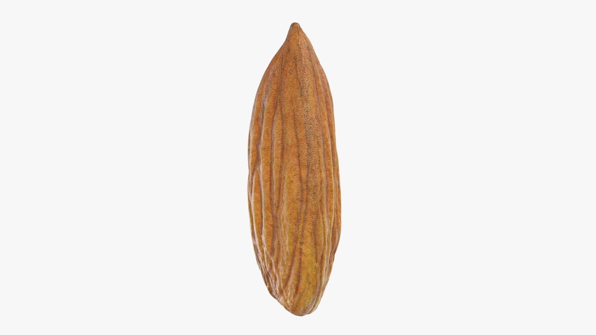 3D Almond Nut 02 https://p.turbosquid.com/ts-thumb/cK/B83uSs/mP/almond02_0004/png/1759494430/1920x1080/fit_q87/86e5fd2fbab6e5f7316cb25f0a8005d22b21d026/almond02_0004.jpg