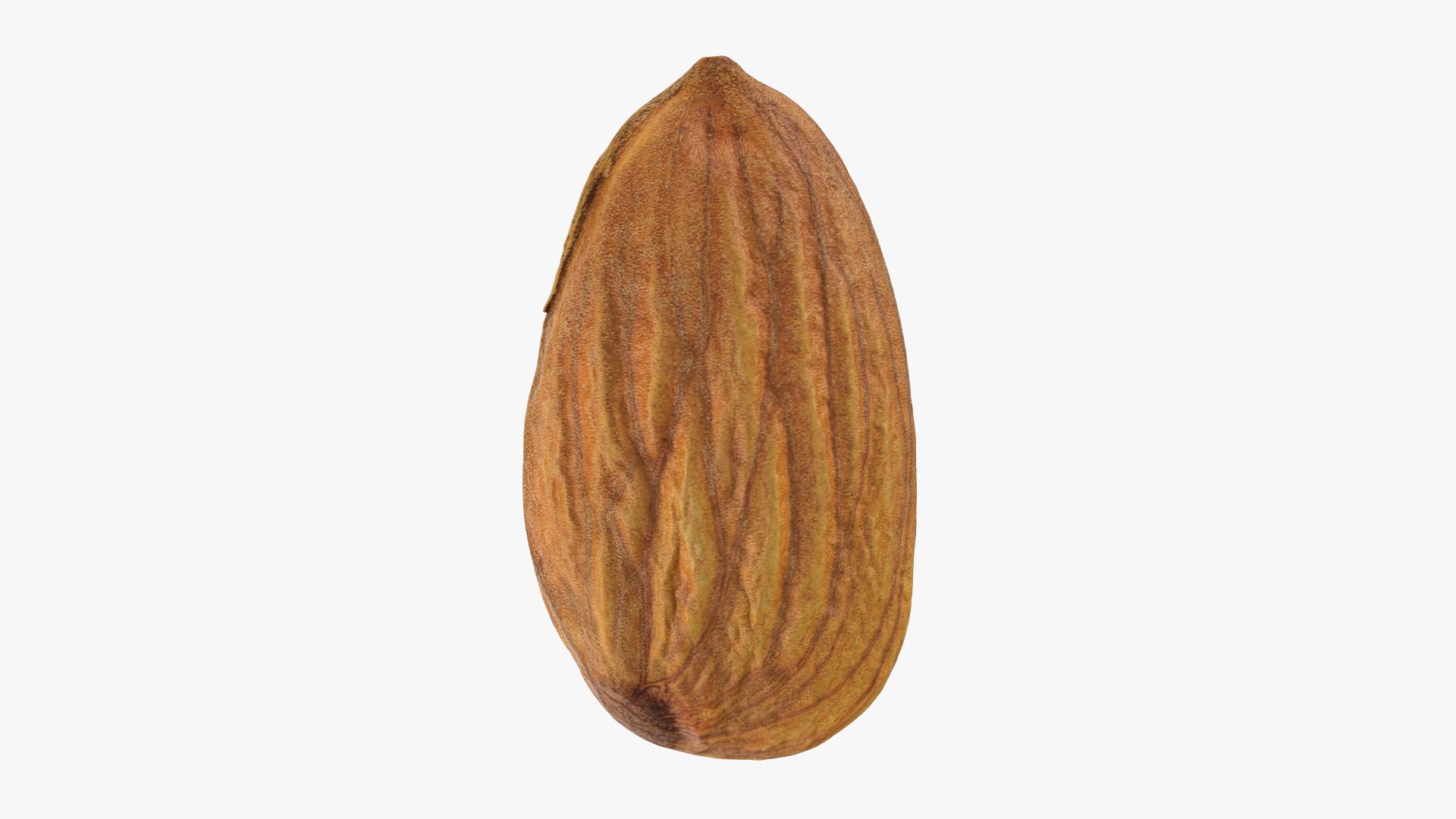 3D Almond Nut 02 https://p.turbosquid.com/ts-thumb/cK/B83uSs/n2/almond02_0005/png/1759494431/1920x1080/fit_q87/400af7ac04a9789d426322649a11c1b5fa691ad7/almond02_0005.jpg