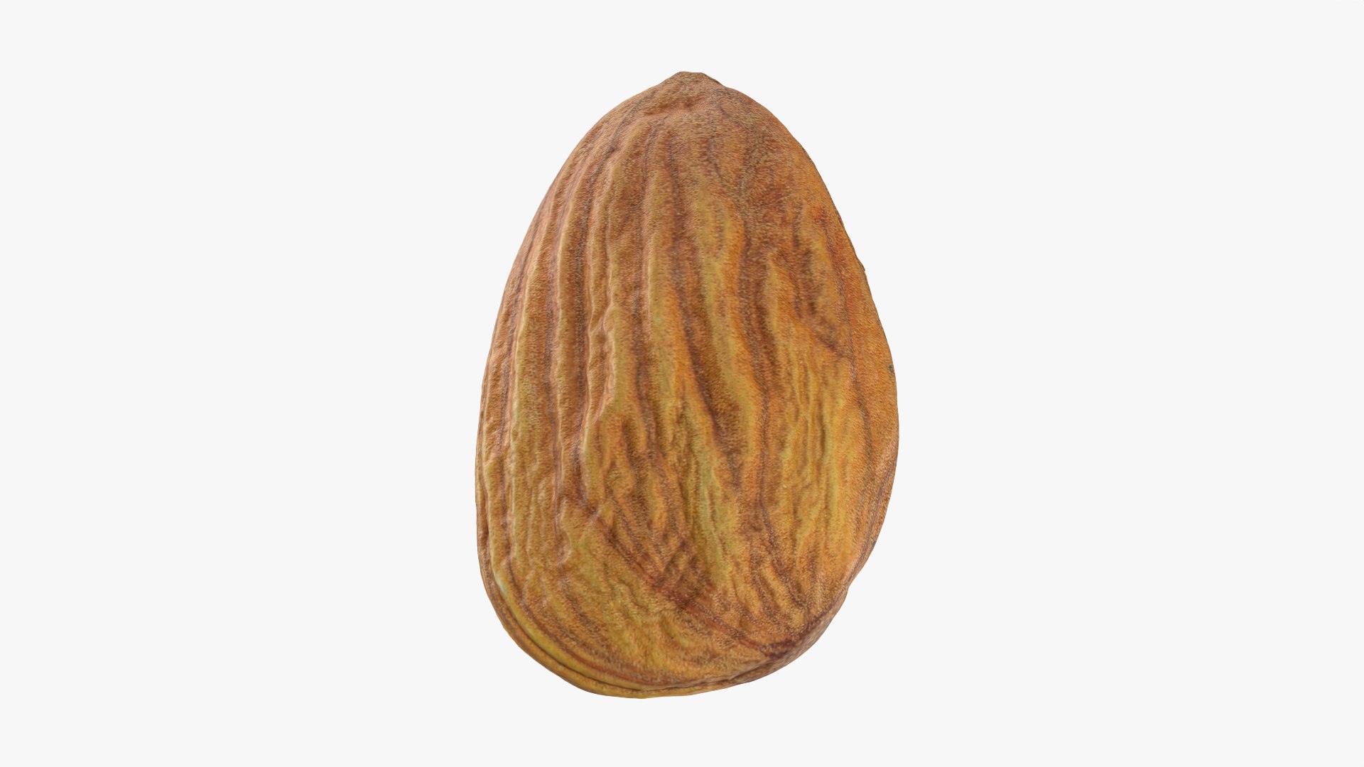3D Almond Nut 02 https://p.turbosquid.com/ts-thumb/cK/B83uSs/ri/almond02_0012/png/1759494439/1920x1080/fit_q87/d711fbe6f40db7f34134db13f49057e9f185d2ab/almond02_0012.jpg