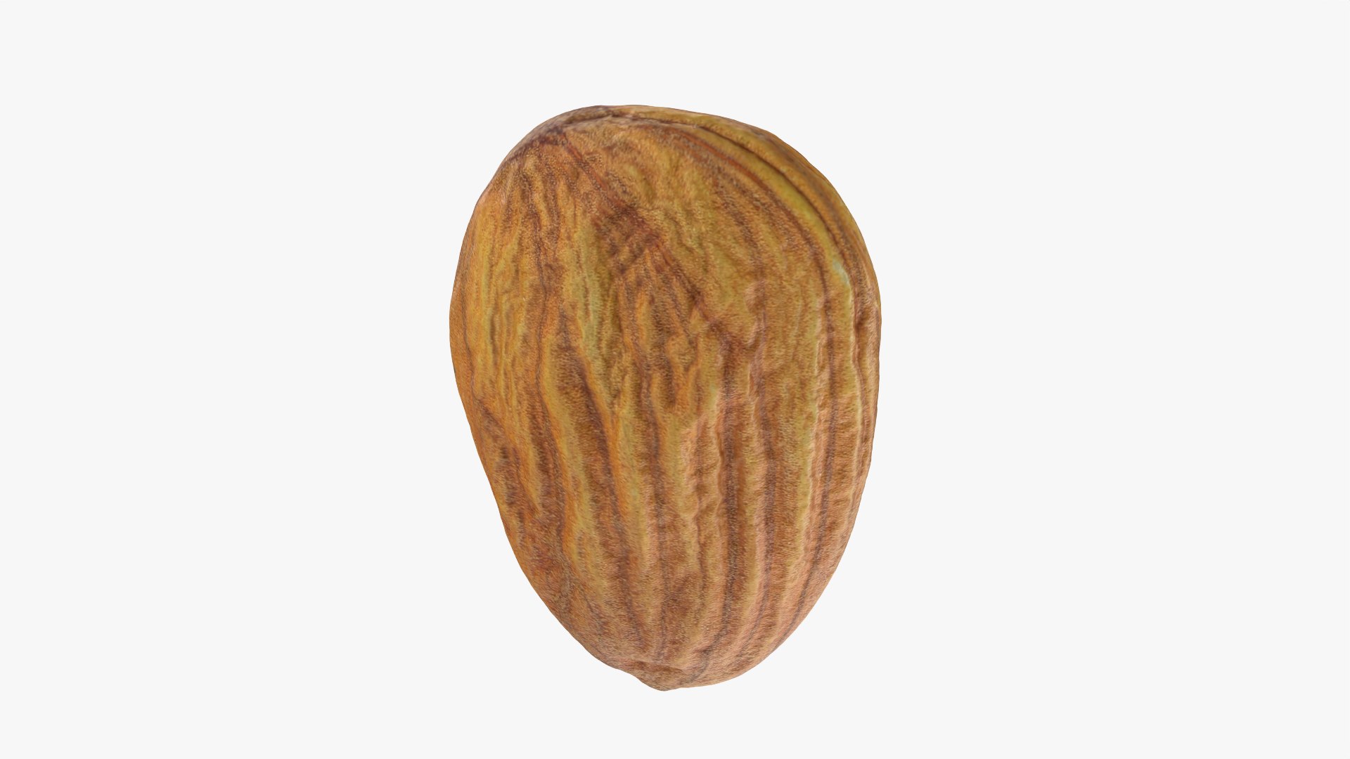 3D Almond Nut 02 https://p.turbosquid.com/ts-thumb/cK/B83uSs/tj/almond02_0006/png/1759494431/1920x1080/fit_q87/66a9f85e116b47a2f973d9d06969478e2cce48bb/almond02_0006.jpg