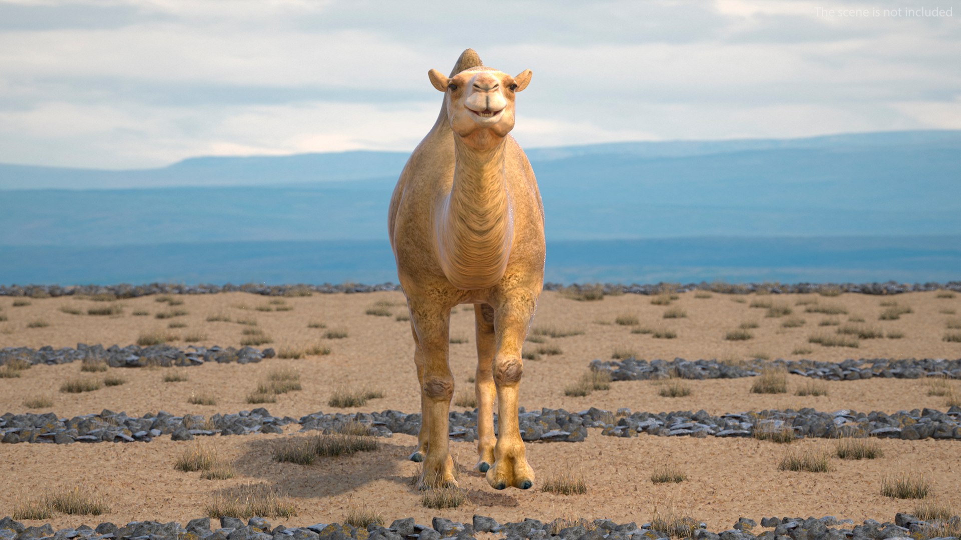 3D Bactrian Camel Walking Pose model https://p.turbosquid.com/ts-thumb/cK/EqZotQ/5N/bactrian_camel_walking_pose_002/jpg/1737968711/1920x1080/fit_q87/41c2f93b9dd368cb9addd4b7465fc66240f761ea/bactrian_camel_walking_pose_002.jpg