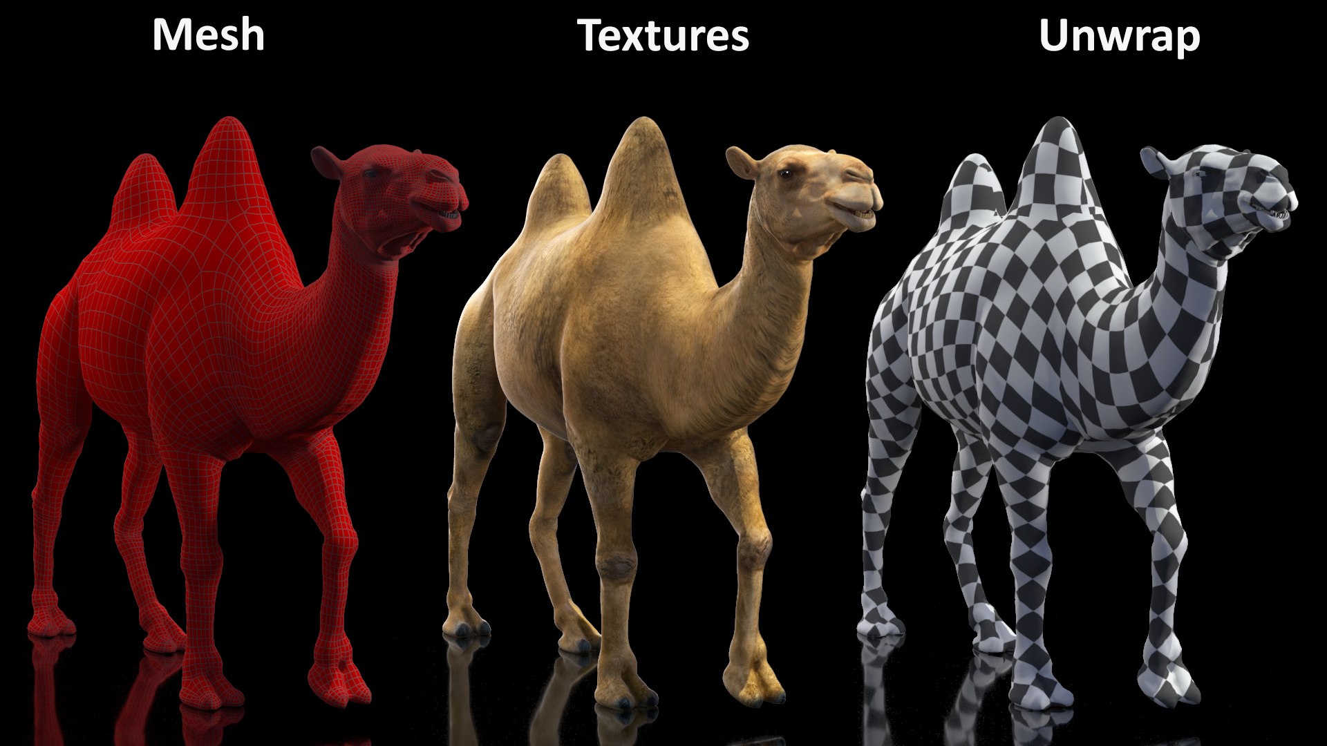 3D Bactrian Camel Walking Pose model https://p.turbosquid.com/ts-thumb/cK/EqZotQ/E3/bactrian_camel_walking_pose_019/jpg/1737968788/1920x1080/fit_q87/390ff9c8a57b30da0dd68ece0c68343976ee9966/bactrian_camel_walking_pose_019.jpg