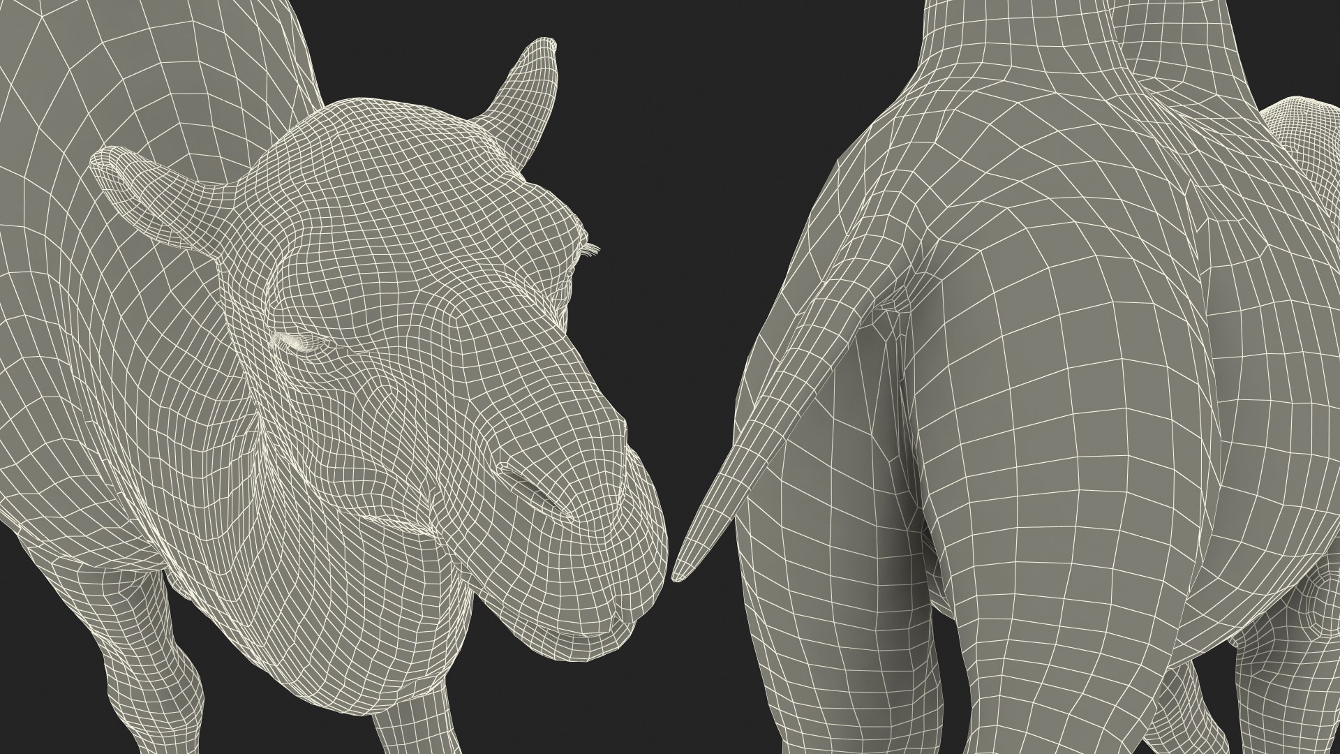 3D Bactrian Camel Walking Pose model https://p.turbosquid.com/ts-thumb/cK/EqZotQ/oa/bactrian_camel_walking_pose_027/jpg/1737968822/1920x1080/fit_q87/e14de51b7b46bead282c0347674b2e346b0dde85/bactrian_camel_walking_pose_027.jpg