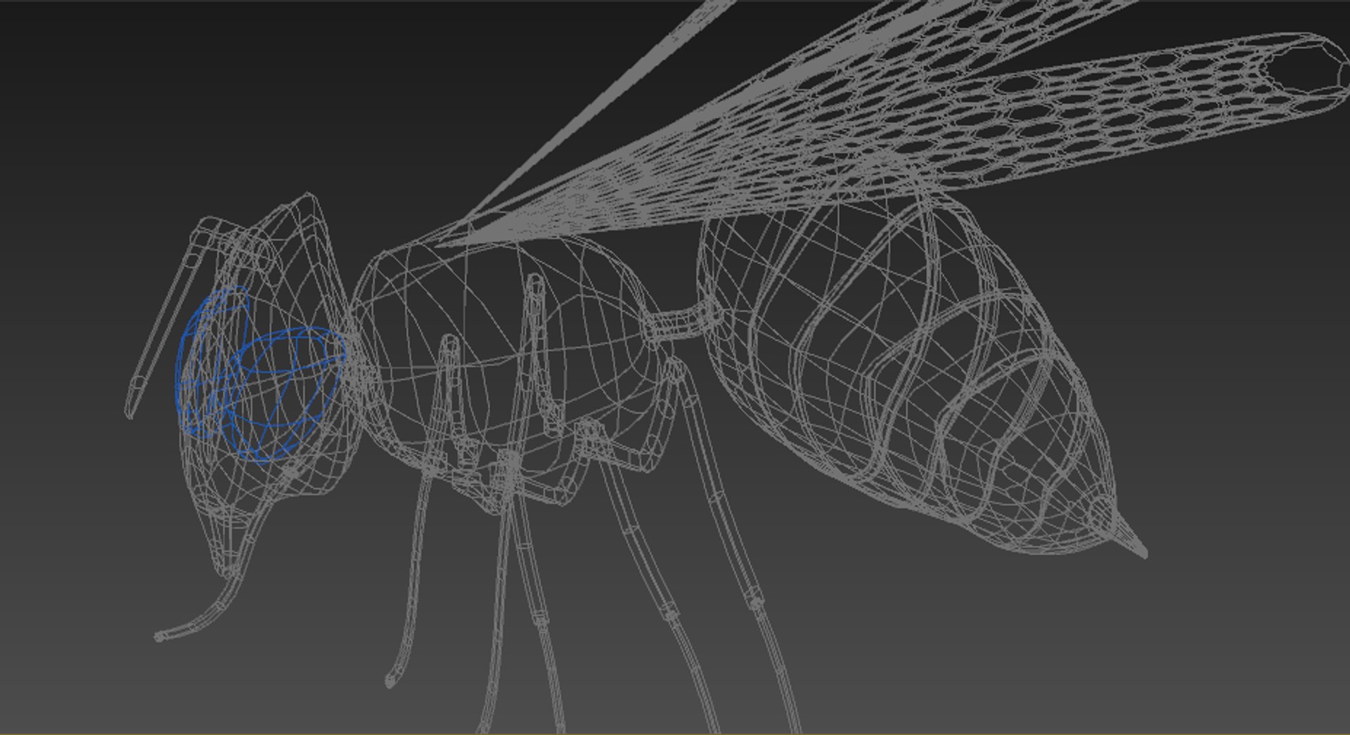 3D model bee insect https://p.turbosquid.com/ts-thumb/cK/FVSwzZ/KViZGC6E/5/png/1571578757/1920x1080/fit_q87/fc411adf3098a437367dd707884e88952ba80199/5.jpg