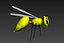 wasp