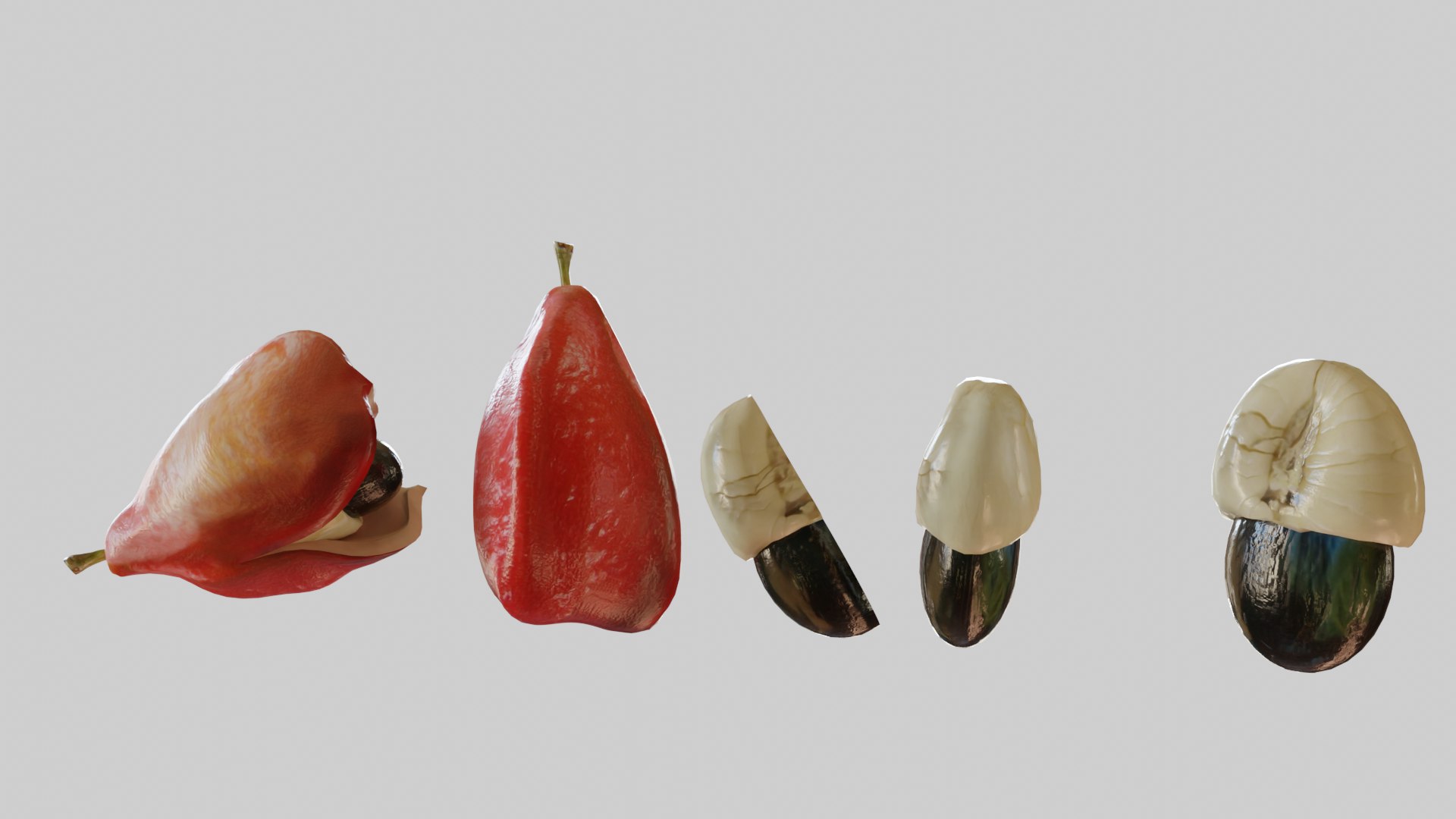 3D Ackee Model - TurboSquid 1773837