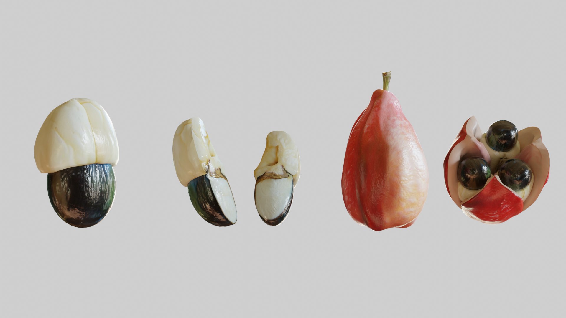 3D Ackee Model - TurboSquid 1773837