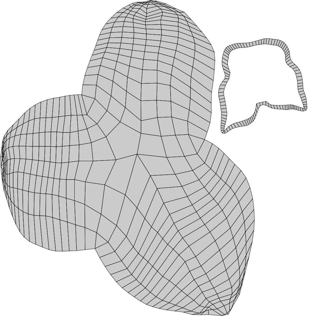 3D Ackee Model - TurboSquid 1773837