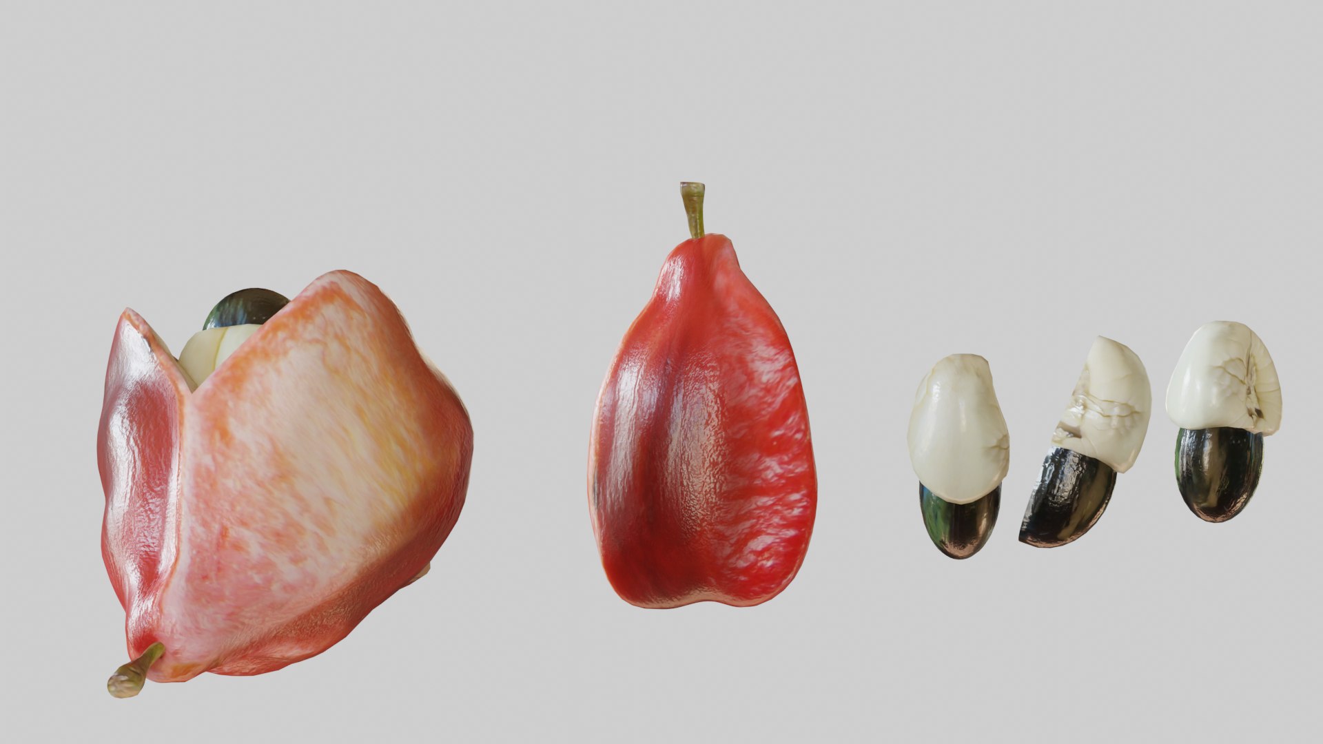 3D Ackee Model - TurboSquid 1773837