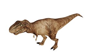 3D model TYRANNOSAURUS T-REX