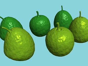 3d max fruit guava