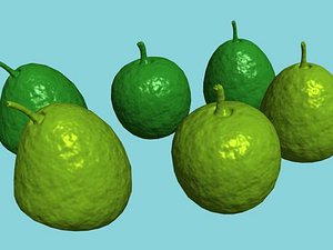 Guava