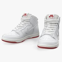 Nike SB Dunk High Pro White