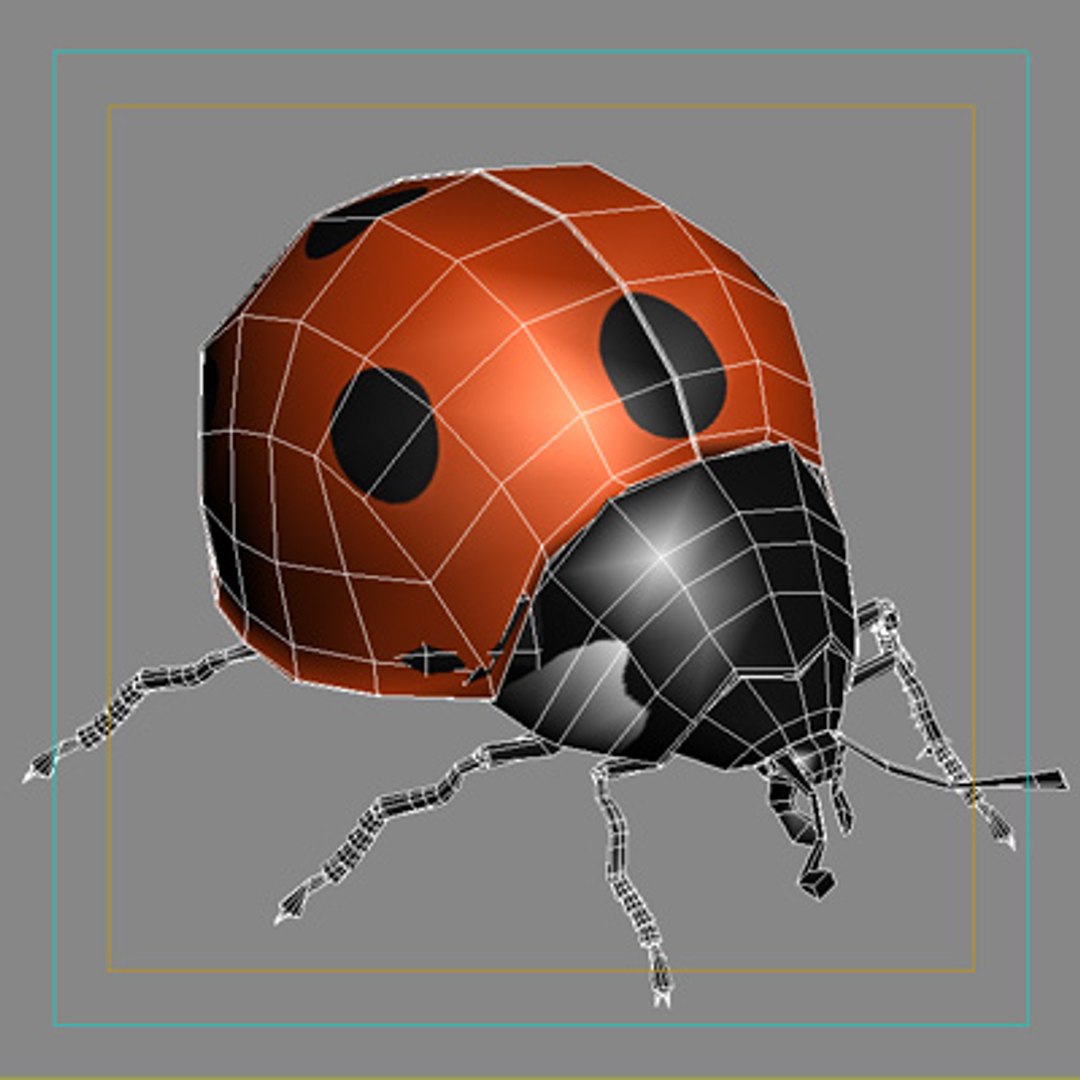 ladybug bug max https://p.turbosquid.com/ts-thumb/cK/YBprnP/PO6E3n2i/wire/jpg/1166306141/1920x1080/fit_q87/8087854fe8a8ae5c8493a2ade3efa19284f9d4fb/wire.jpg
