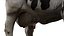 Dairy Cow NoFur Rigged 3D
