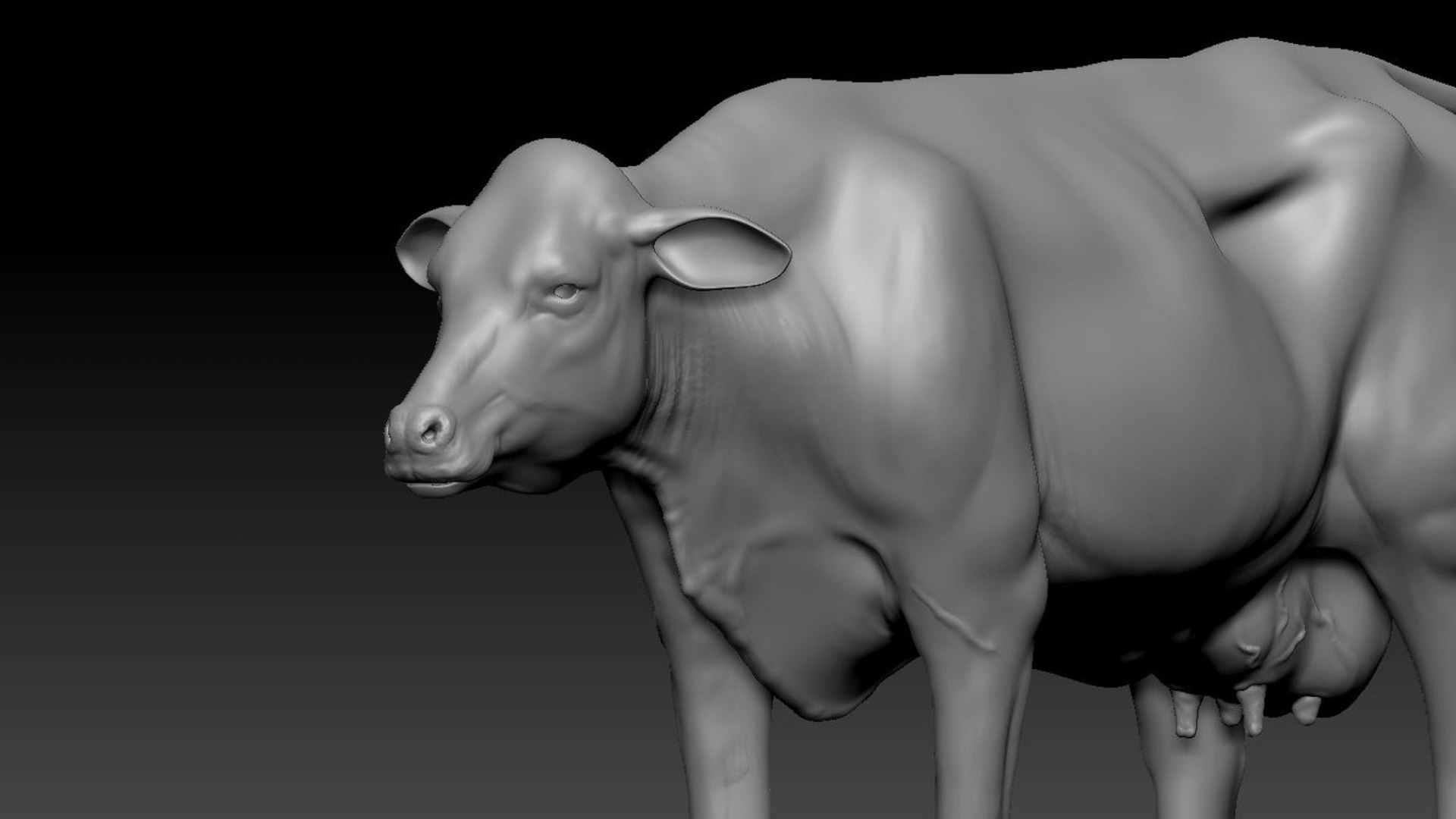 Dairy Cow NoFur Rigged 3D 3D model https://p.turbosquid.com/ts-thumb/cK/iPbZxk/74/23/jpg/1755503701/1920x1080/fit_q87/f8837352888c0eb61c0c551f7b1672dd4a5de8db/23.jpg