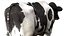 Dairy Cow NoFur Rigged 3D