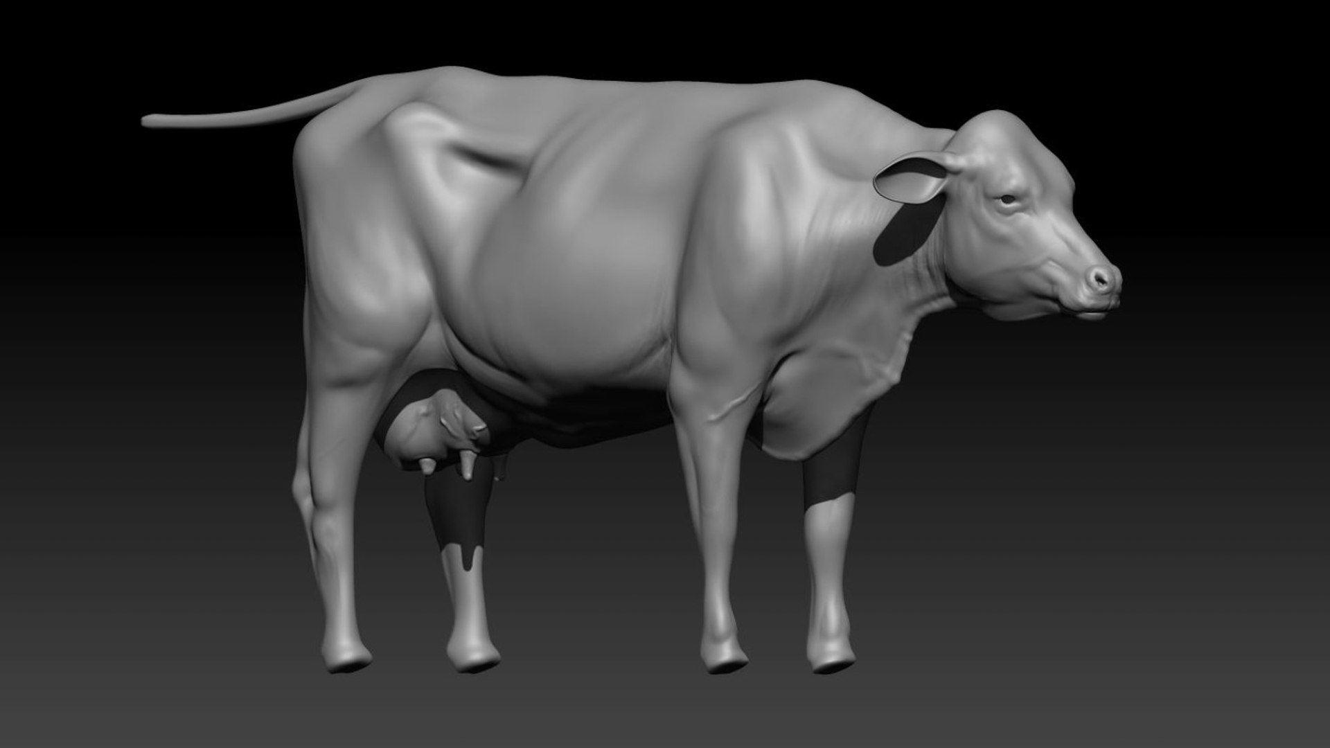 Dairy Cow NoFur Rigged 3D 3D model https://p.turbosquid.com/ts-thumb/cK/iPbZxk/R6/22/jpg/1755503701/1920x1080/fit_q87/f24dbadc861fbcd6802e04e62442f7f2d79c5bc0/22.jpg