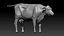 Dairy Cow NoFur Rigged 3D