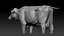 Dairy Cow NoFur Rigged 3D
