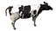 Dairy Cow NoFur Rigged 3D