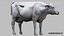 Dairy Cow NoFur Rigged 3D