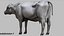 Dairy Cow NoFur Rigged 3D