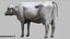 Dairy Cow NoFur Rigged 3D
