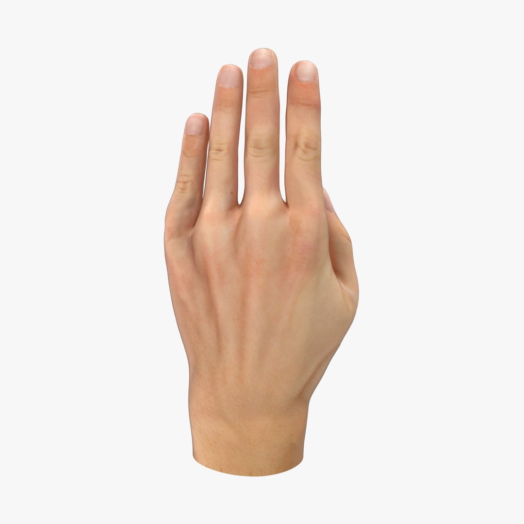 hand rigged poses obj https://p.turbosquid.com/ts-thumb/cL/06EPtd/E8M66gwn/cam02_0010/jpg/1423144136/1920x1080/fit_q87/397767f01a4991651294708aadbc690a305dcea3/cam02_0010.jpg
