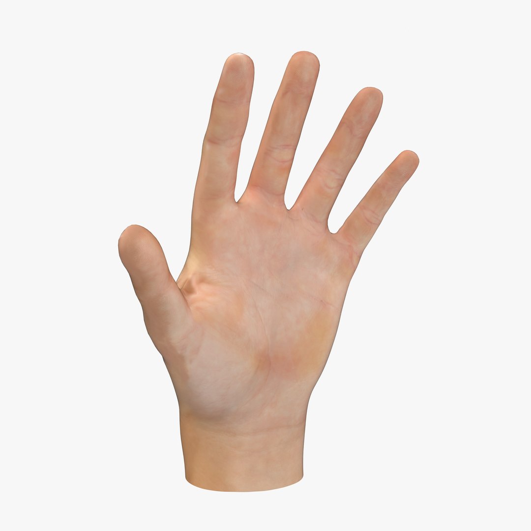 hand rigged poses obj https://p.turbosquid.com/ts-thumb/cL/06EPtd/TdEZs74a/cam01_0000/jpg/1423144136/1920x1080/fit_q87/cfd47ad9aa28f43a68f062ddc4c8f7d09418ec37/cam01_0000.jpg
