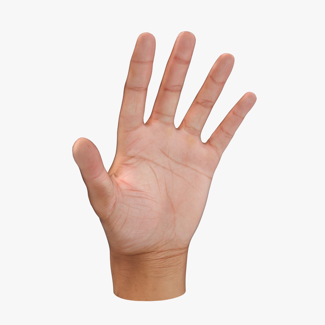 hand rigged poses obj https://p.turbosquid.com/ts-thumb/cL/06EPtd/VX4kznaV/cam01_0000/jpg/1423143712/1920x1080/fit_q87/b1f2767dd25ffb46898479ff4910d864b55ab0bc/cam01_0000.jpg