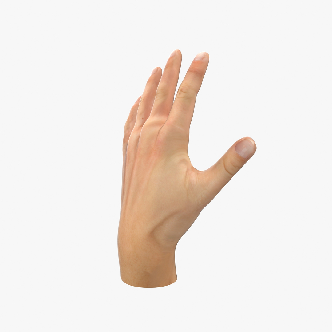 hand rigged poses obj https://p.turbosquid.com/ts-thumb/cL/06EPtd/ty8Wo2er/euro3600000.jpg1f7d97a89944437f86e0646fbfc9b6dezoom/jpg/1423141712/1920x1080/turn_fit_q99/c72f8ef6092db0ac9388c64fe5d3a973121276af/euro3600000.jpg1f7d97a89944437f86e0646fbfc9b6dezoom-1.jpg