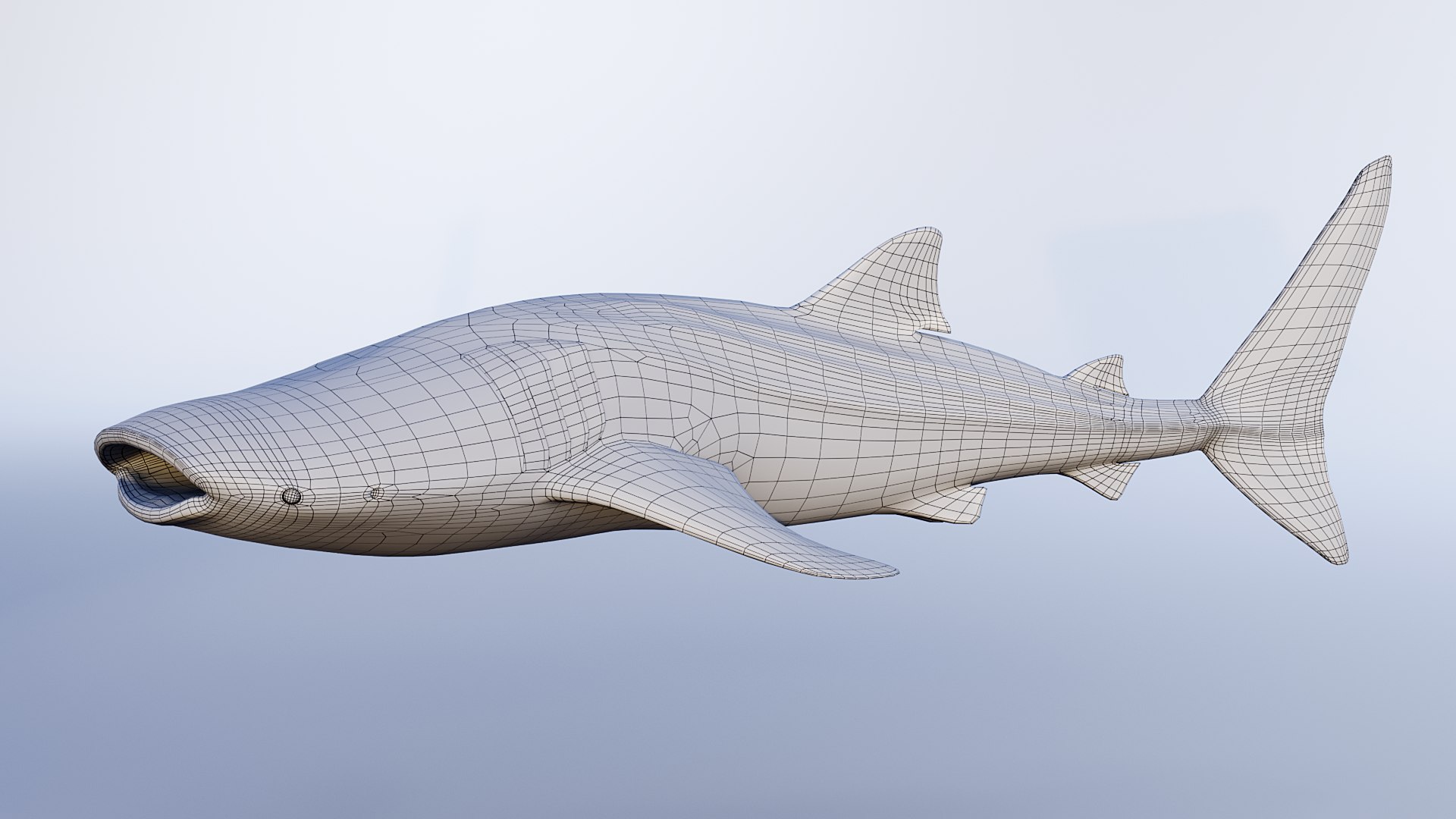 Whale Shark Rigged And Animated 3D Model - TurboSquid 2455801