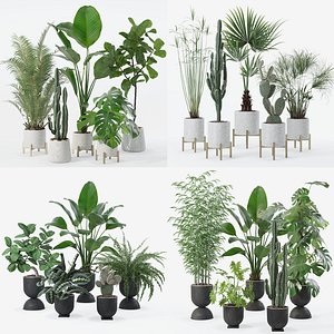 20 Photorealistic Flowers for Interiors - set 122 123 124 128